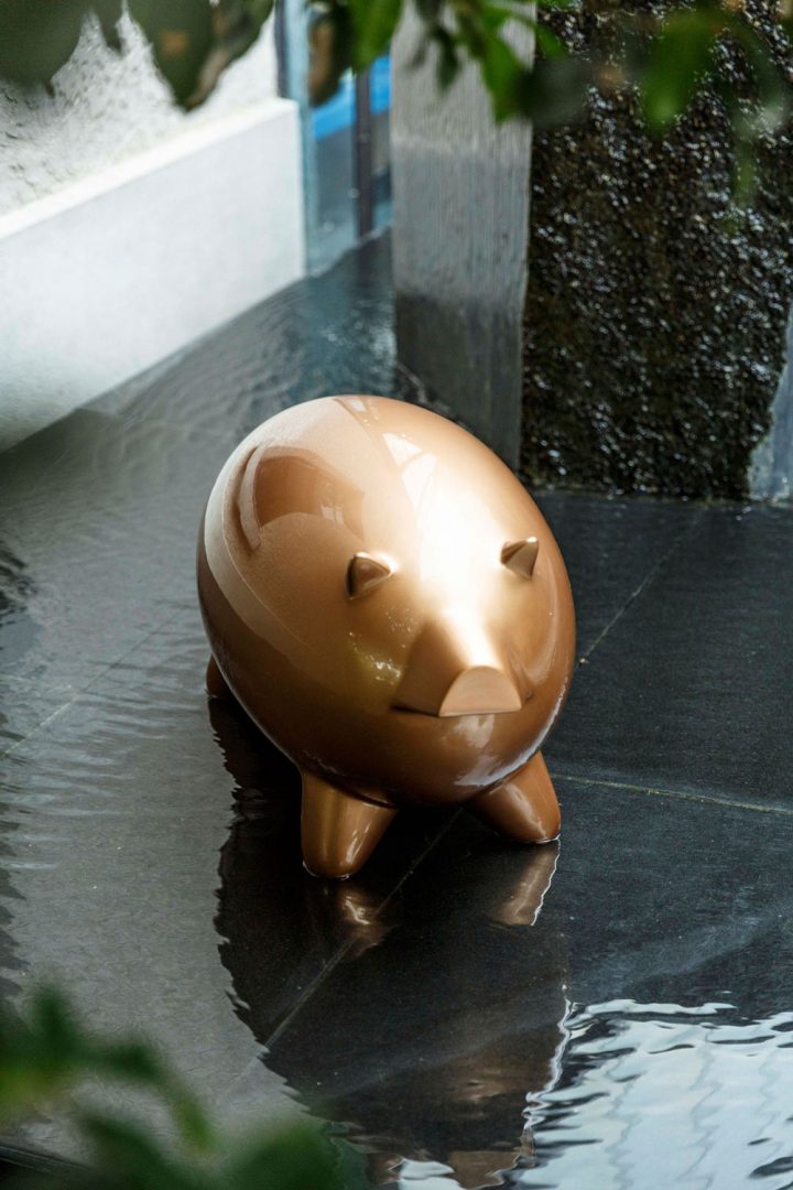 Pig_Lightspace_13