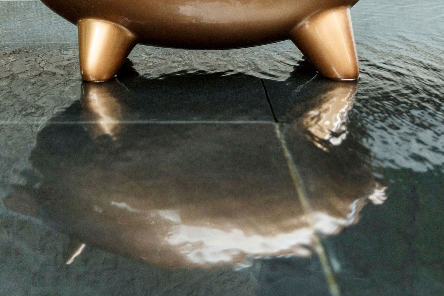 Pig_Lightspace_14